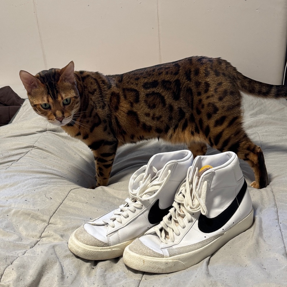 White and Black NIKE High-Top Sneakers
